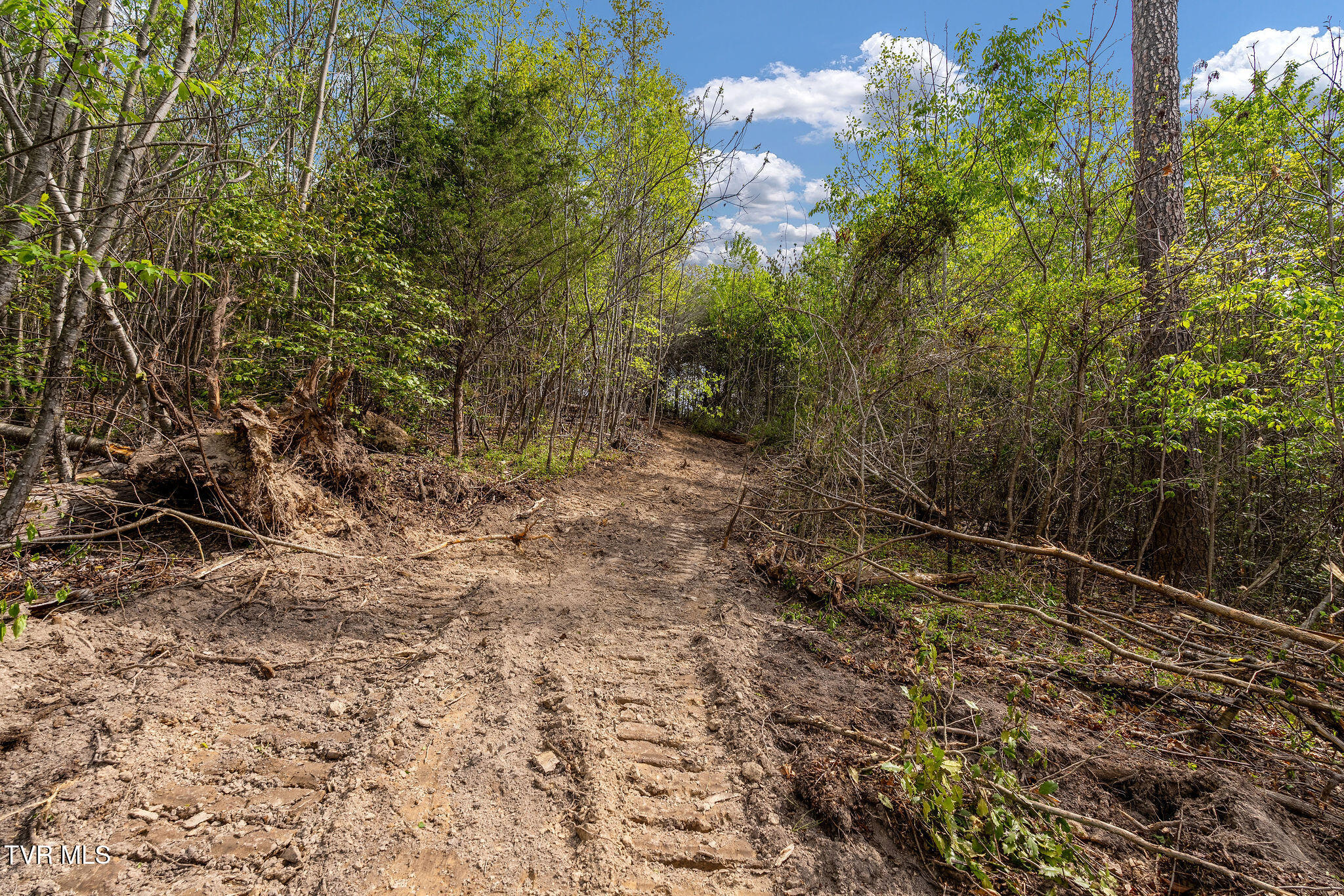 Tbd Lacy Hollow Road Elizabethton, TN 37643 - Photo 22 of 30 DSC03931