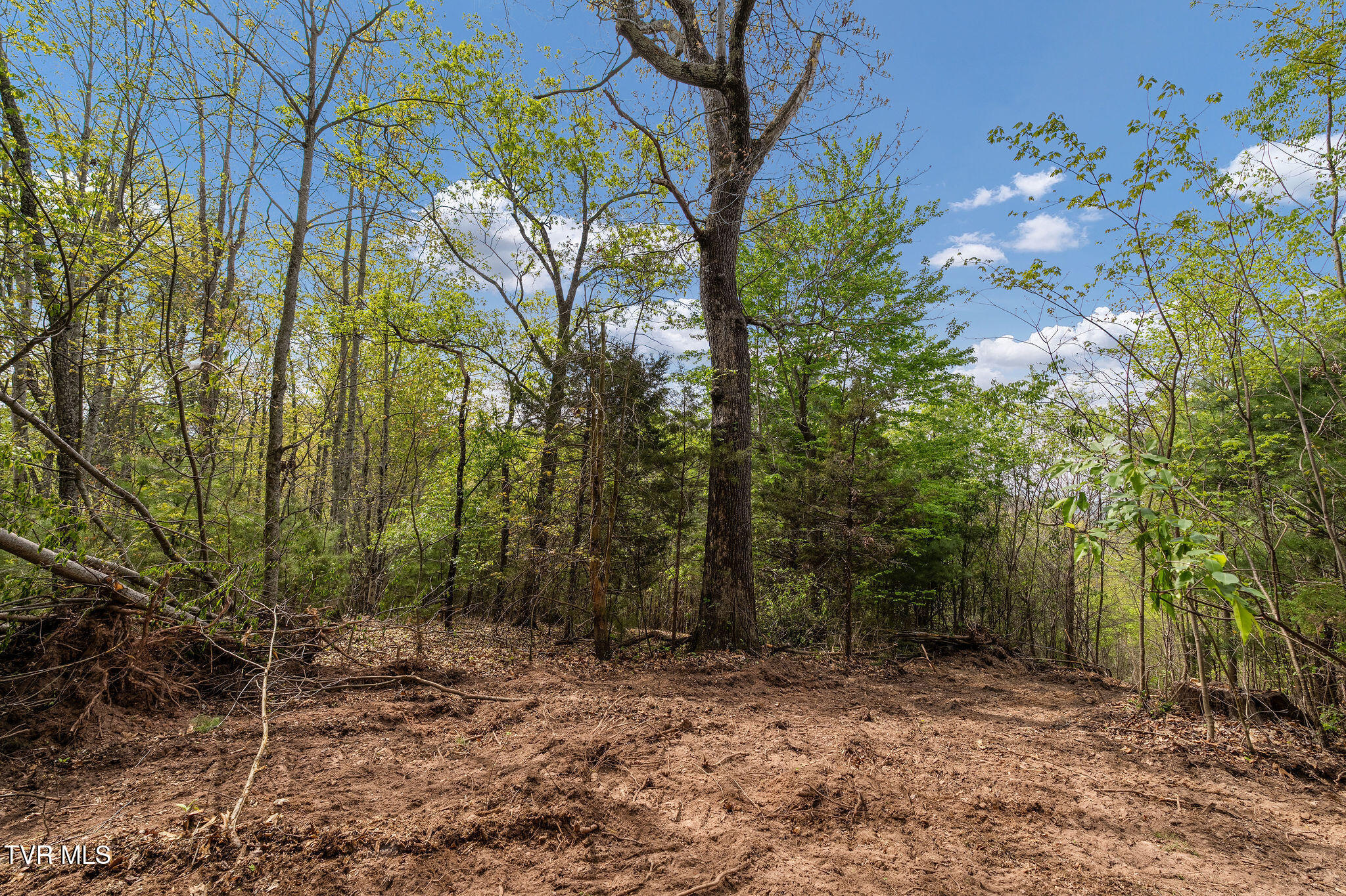 Tbd Lacy Hollow Road Elizabethton, TN 37643 - Photo 23 of 30 DSC03932