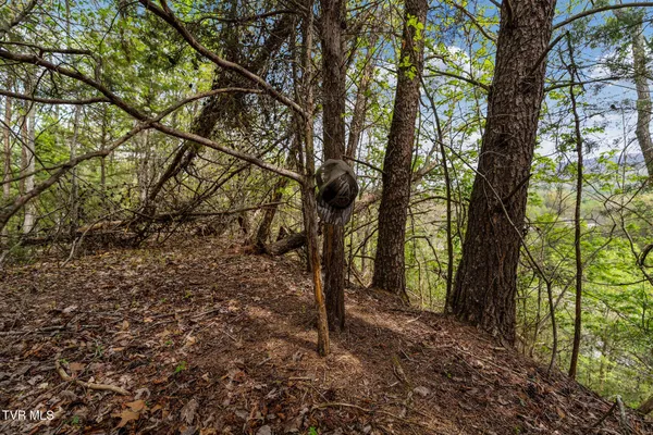 $104,300 | Tbd Lacy Hollow Road, Elizabethton, TN 37643