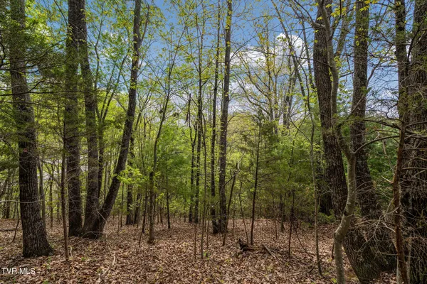 $104,300 | Tbd Lacy Hollow Road, Elizabethton, TN 37643