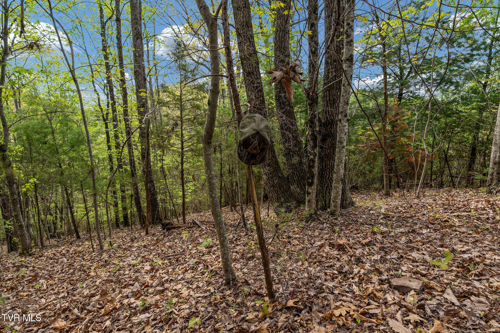 Tbd Lacy Hollow Road Elizabethton, TN 37643 - Photo 27 of 30 DSC03937