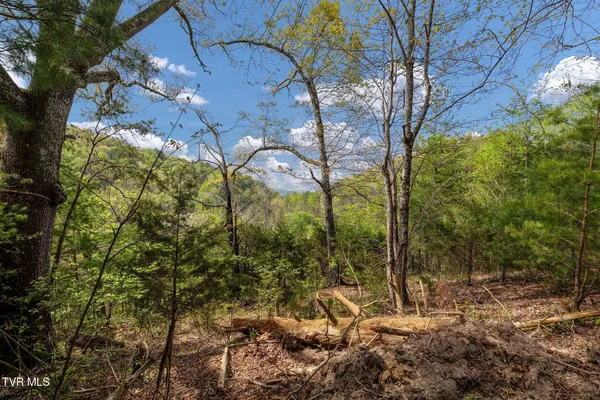 $104,300 | Tbd Lacy Hollow Road, Elizabethton, TN 37643