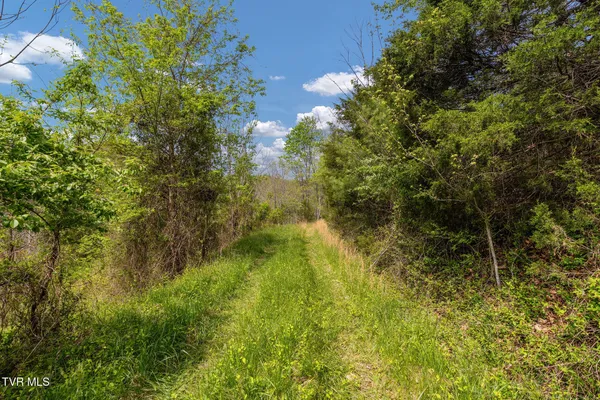 $104,300 | Tbd Lacy Hollow Road, Elizabethton, TN 37643
