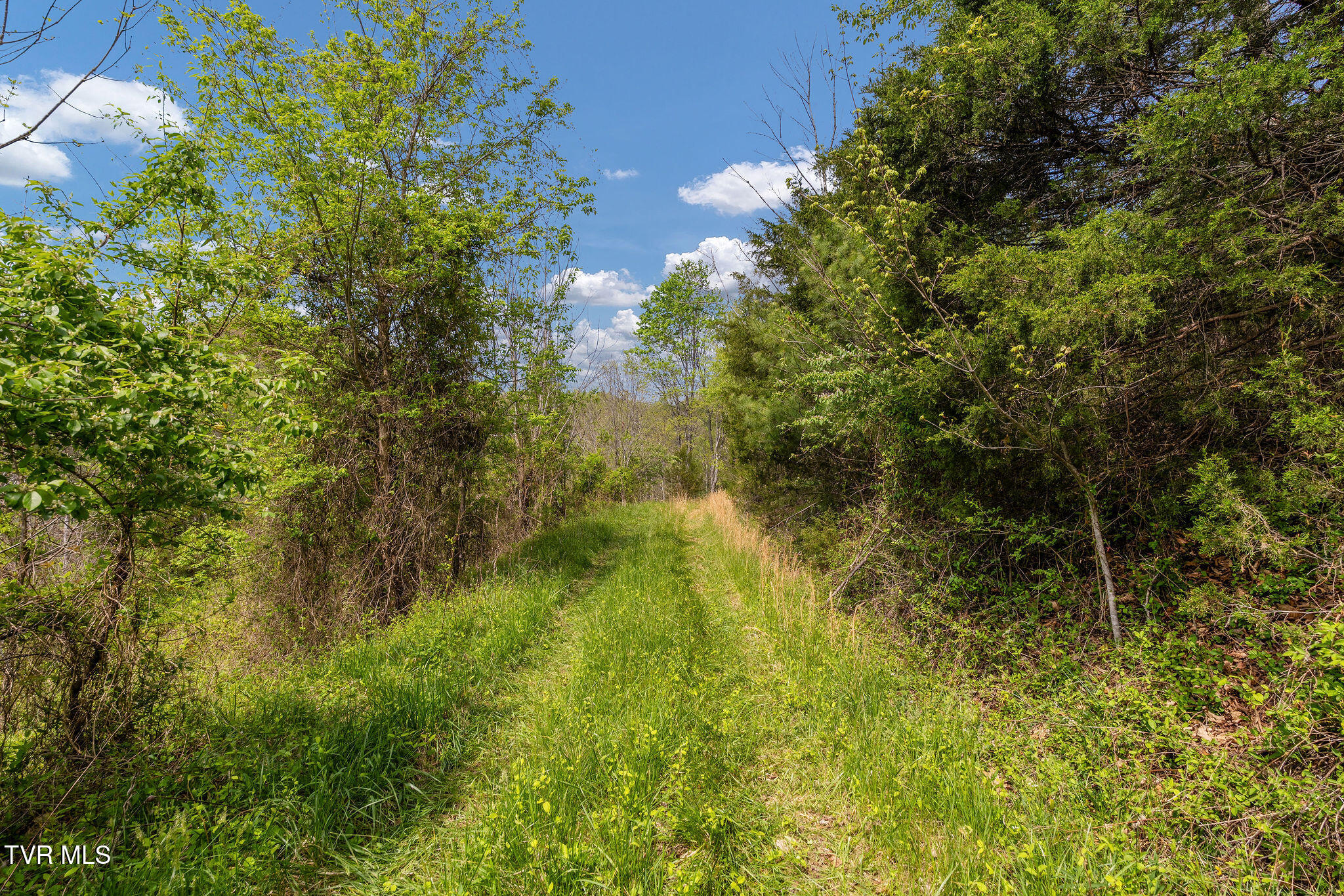 Tbd Lacy Hollow Road Elizabethton, TN 37643 - Photo 29 of 30 DSC03940