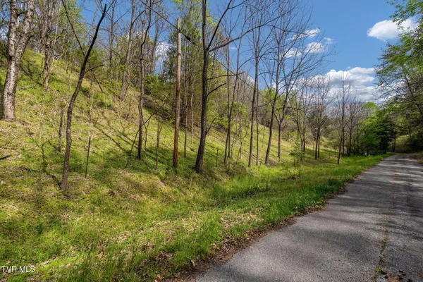 $104,300 | Tbd Lacy Hollow Road, Elizabethton, TN 37643