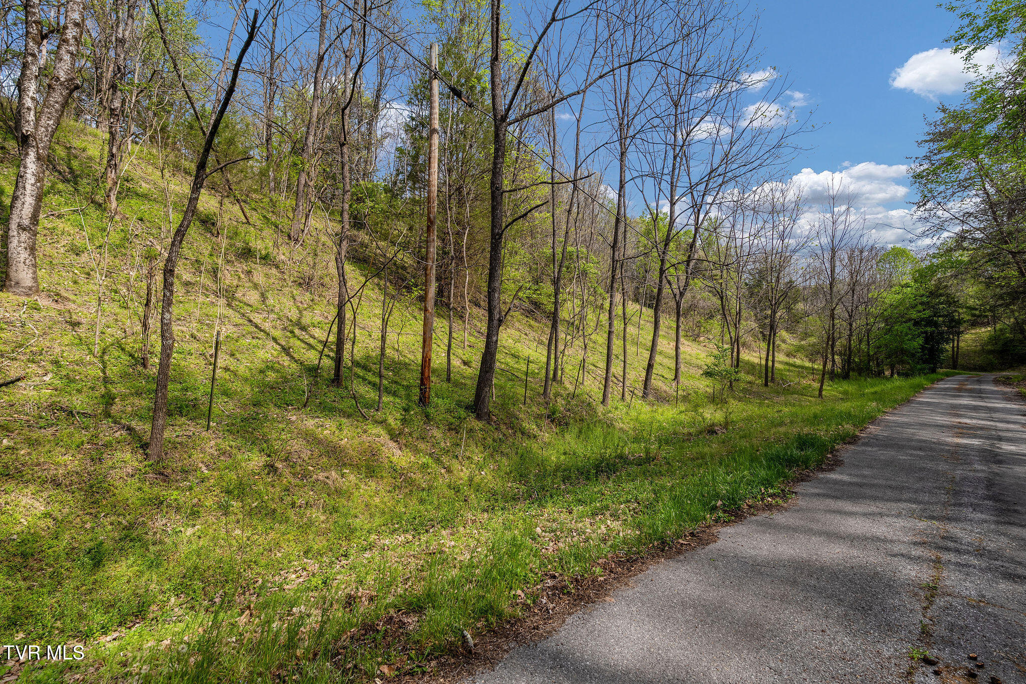 Tbd Lacy Hollow Road Elizabethton, TN 37643 - Photo 30 of 30 DSC03941
