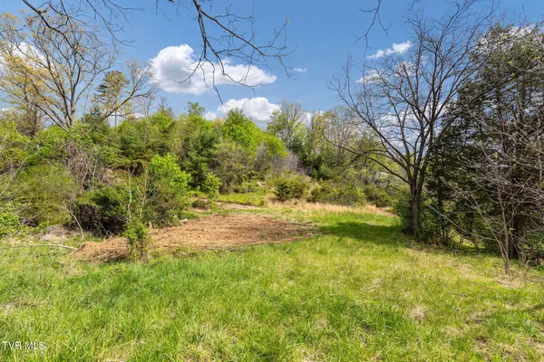 $104,300 | Tbd Lacy Hollow Road, Elizabethton, TN 37643