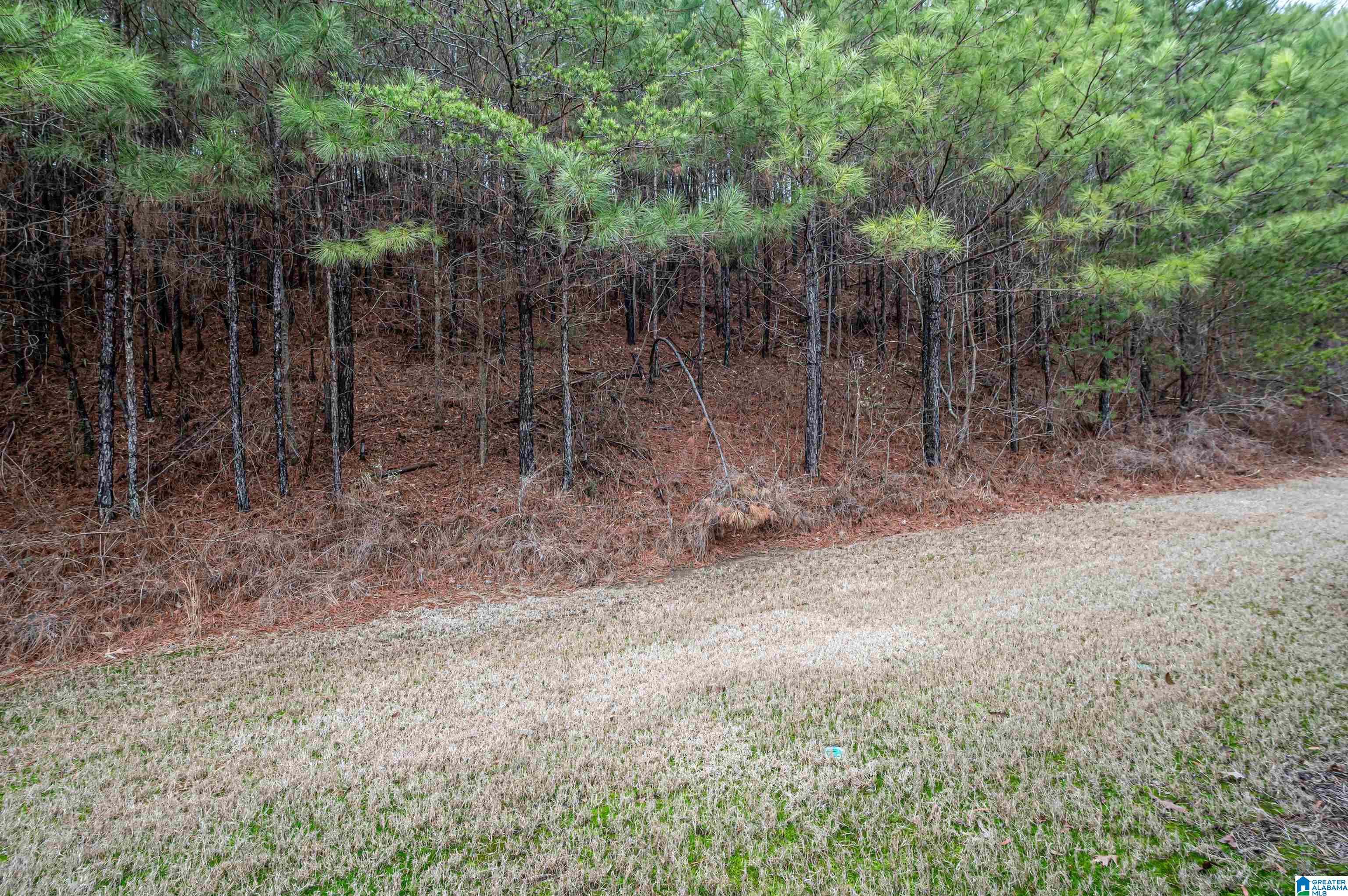 1146 Inverness Cove Way Birmingham, AL 35242 - Photo 38 of 38