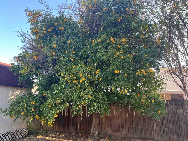 $250,000 | 1949 Rob Way, Tallahassee, FL 32303