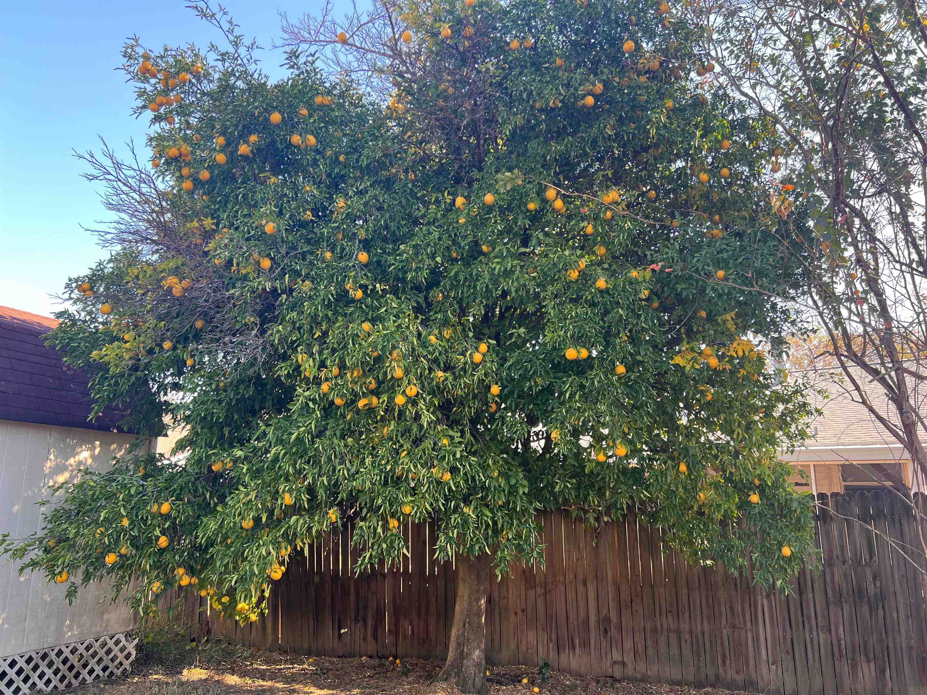 1949 Rob Way Tallahassee, FL 32303 - Photo 15 of 26