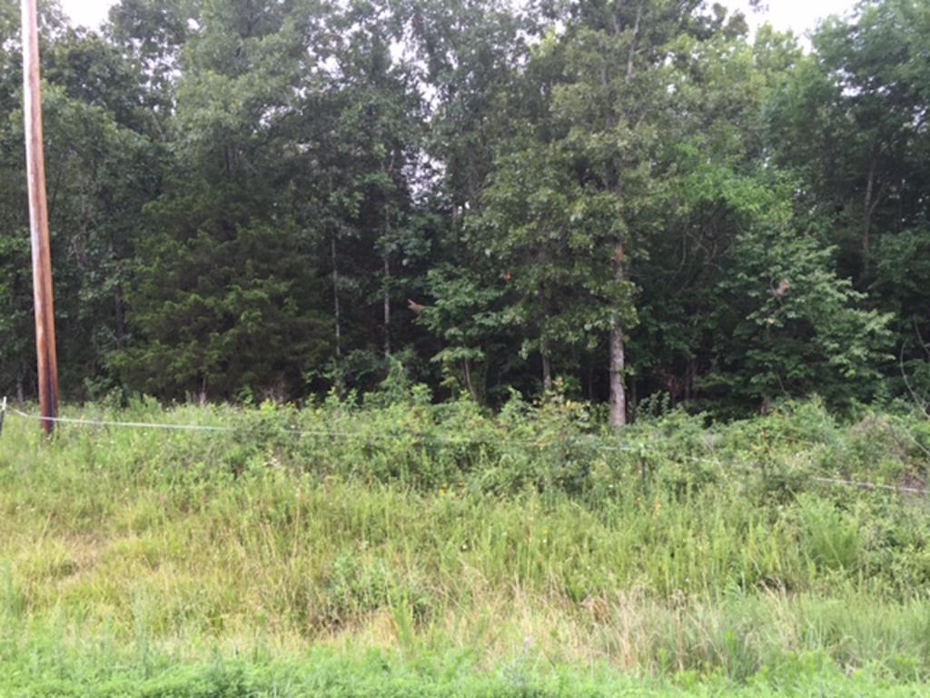 3748 State Rt 142 Moody, MO 65777 - Photo 1 of 1 Land for Sale in Howell Co
