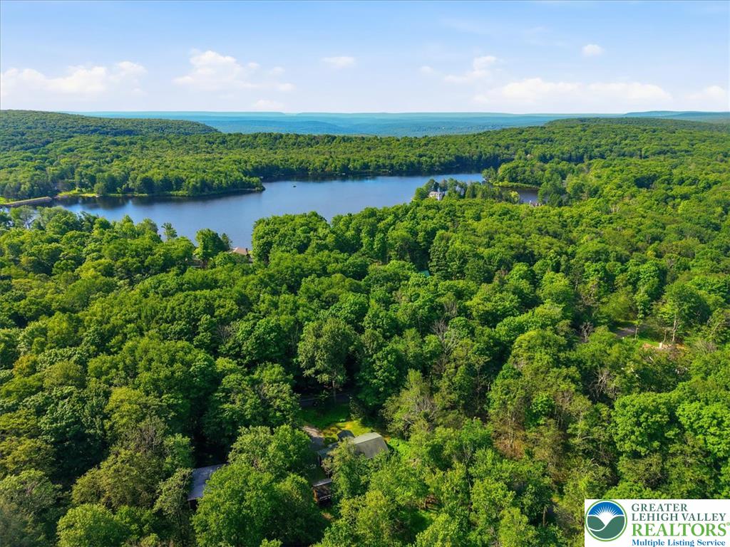 143 Logger Road Canadensis, PA 18325 - Photo 24 of 32 Perched amidst a verdant canopy, this property offers serene lake views and natural splendor.