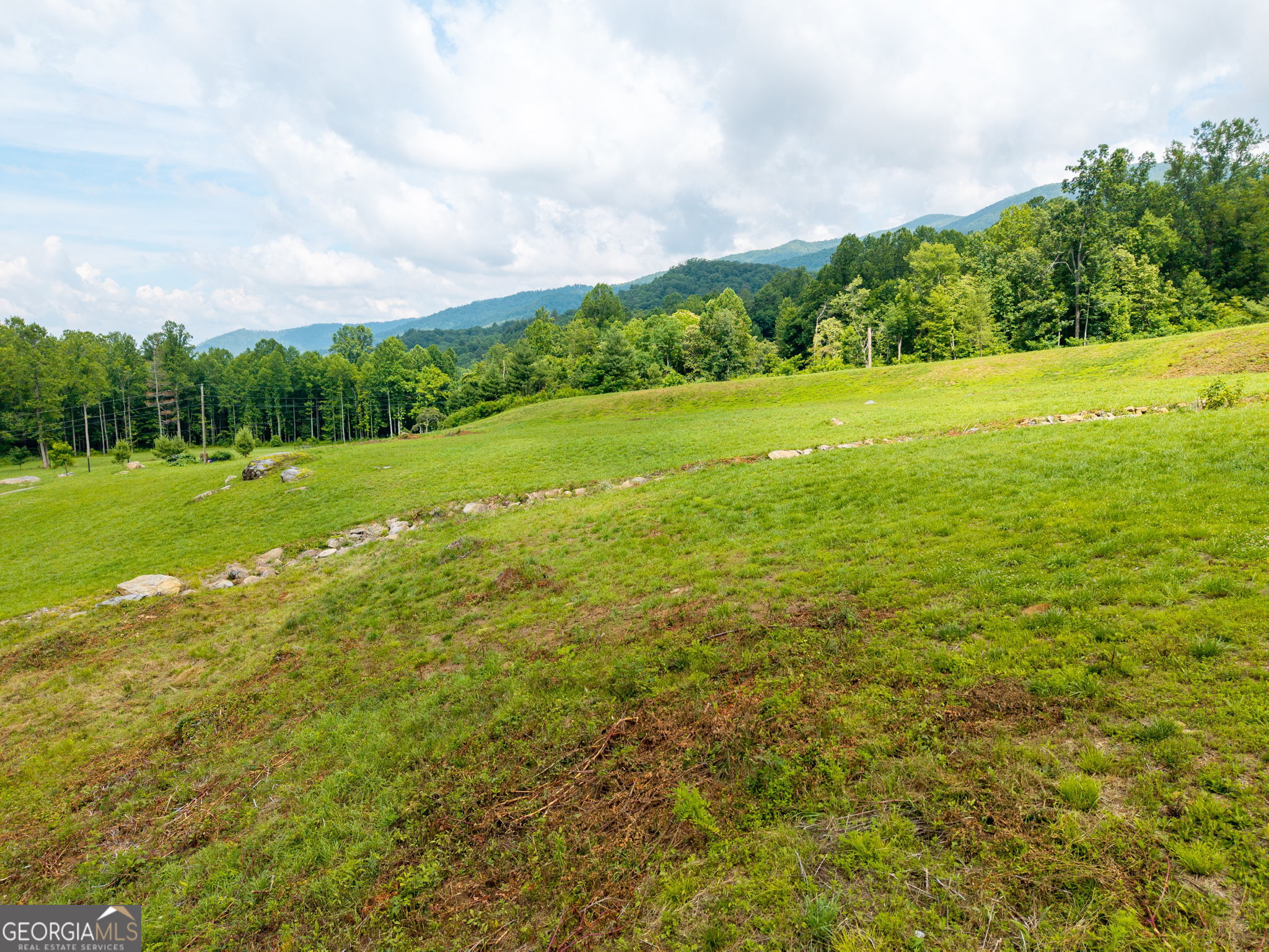 1449 Muskrat Creek Road Hayesville, NC 28904 - Photo 59 of 67