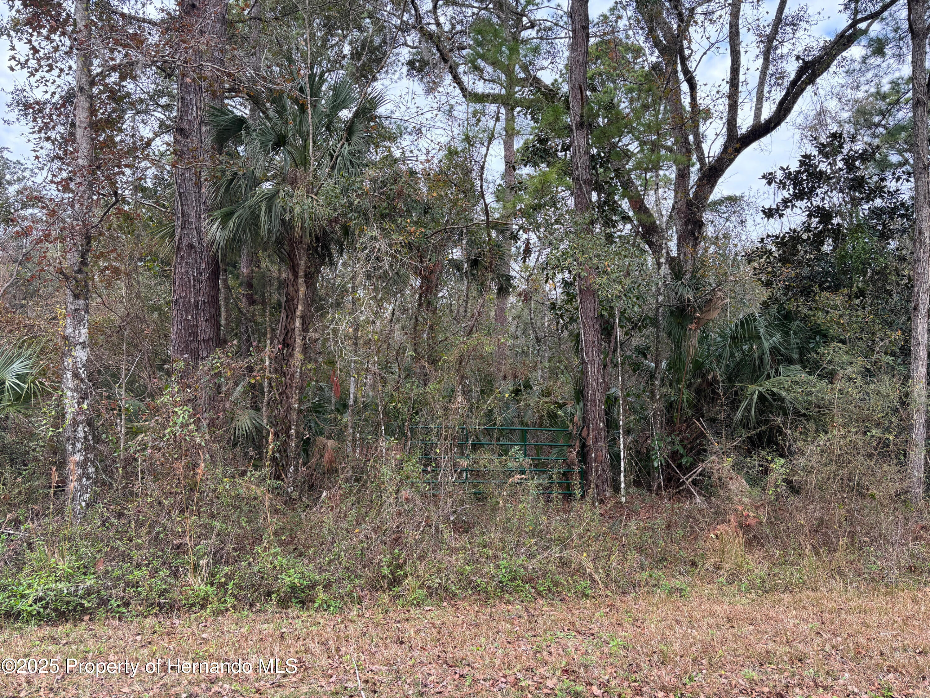 Lot 3 Carolina Dove Road Weeki Wachee, FL 34614 - Photo 2 of 5