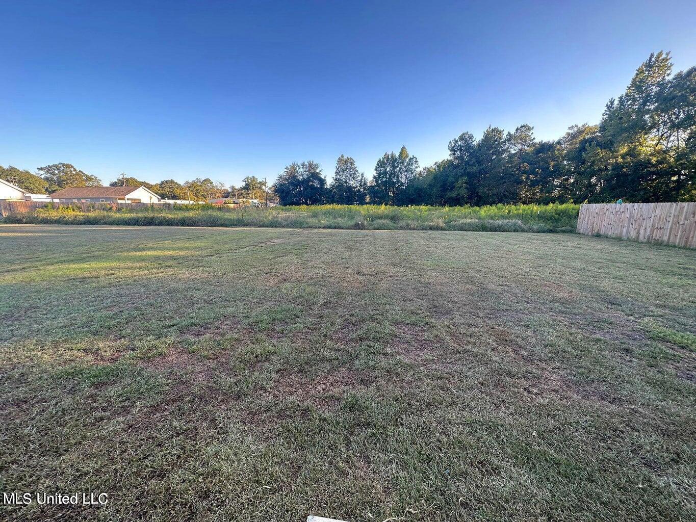 180 Ridge Lane Lucedale, MS 39452 - Photo 19 of 19 Back Yard