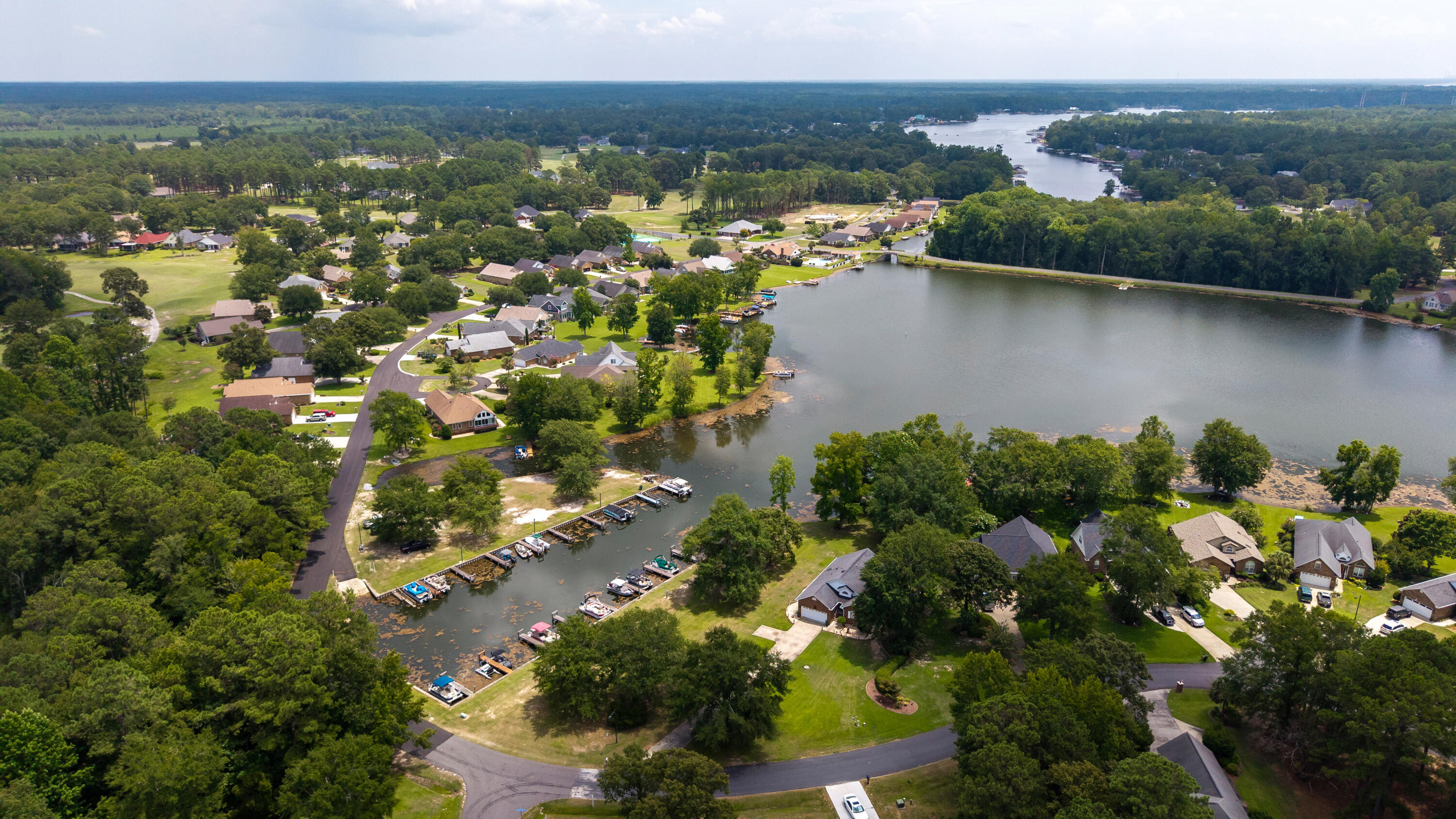 203 Ridge Lake Drive Manning, SC 29102 - Photo 41 of 60 LAKE MARION IN BACKGROUND