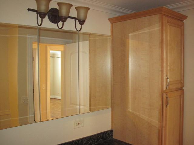 6333 North Milwaukee Avenue, Unit 1G Chicago, IL 60646 - Photo 18 of 21