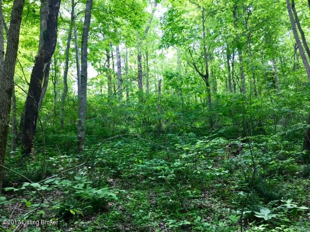 0 Mark Ridge Road Garfield, KY 40140 - Photo 23 of 43 24