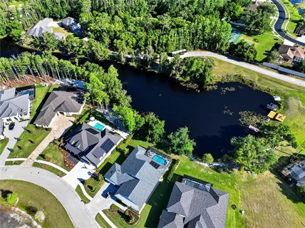 $1,600,000 | 3944 Cove Lake Place, Land O' Lakes, FL 34639