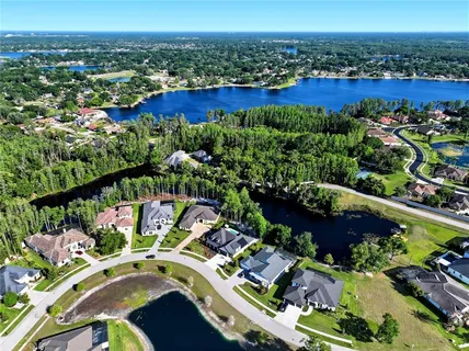 $1,600,000 | 3944 Cove Lake Place, Land O' Lakes, FL 34639