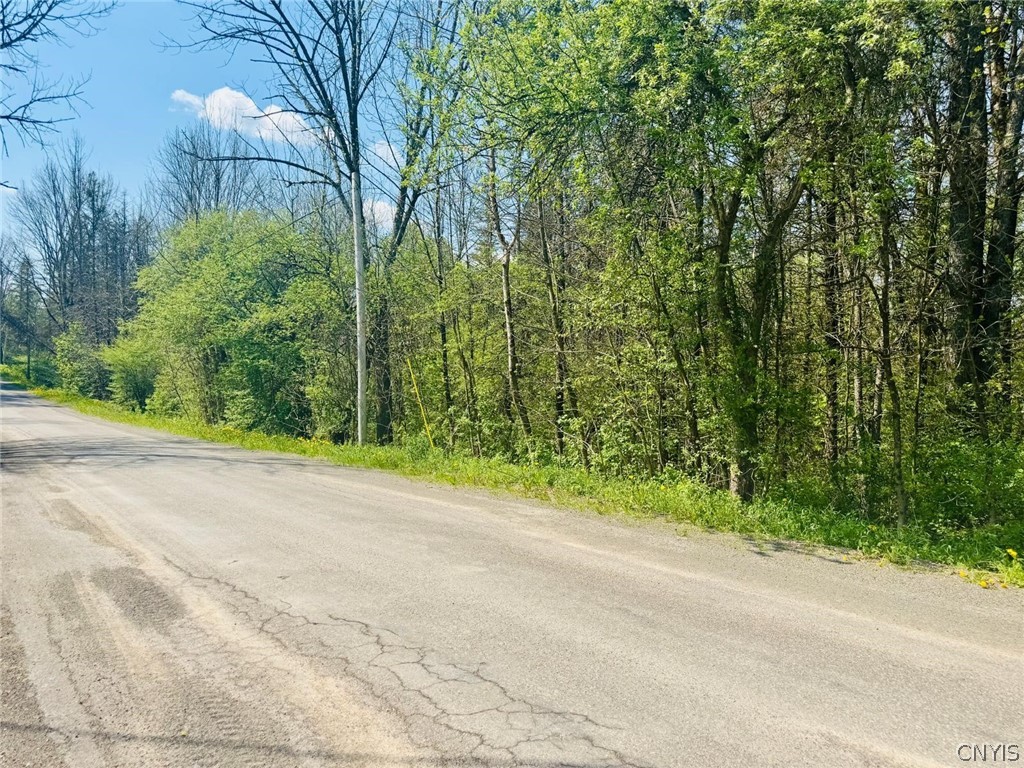 Dog Hollow Road Truxton, NY 13158 - Photo 8 of 9
