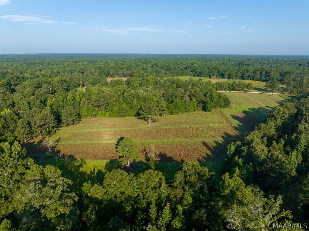 0 Dykes Road Hurtsboro, AL 36860 - Photo 15 of 59 Gallery Image 15