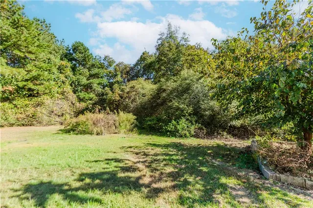 a view of yard with green space