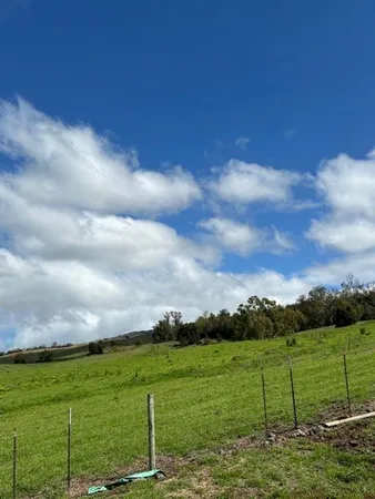 $4,950 | 1141 Lower Kimo Drive, Kula, HI 96790