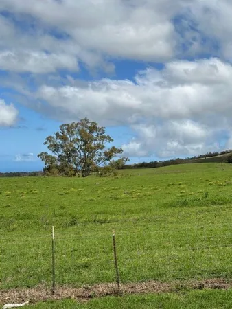 $4,950 | 1141 Lower Kimo Drive, Kula, HI 96790