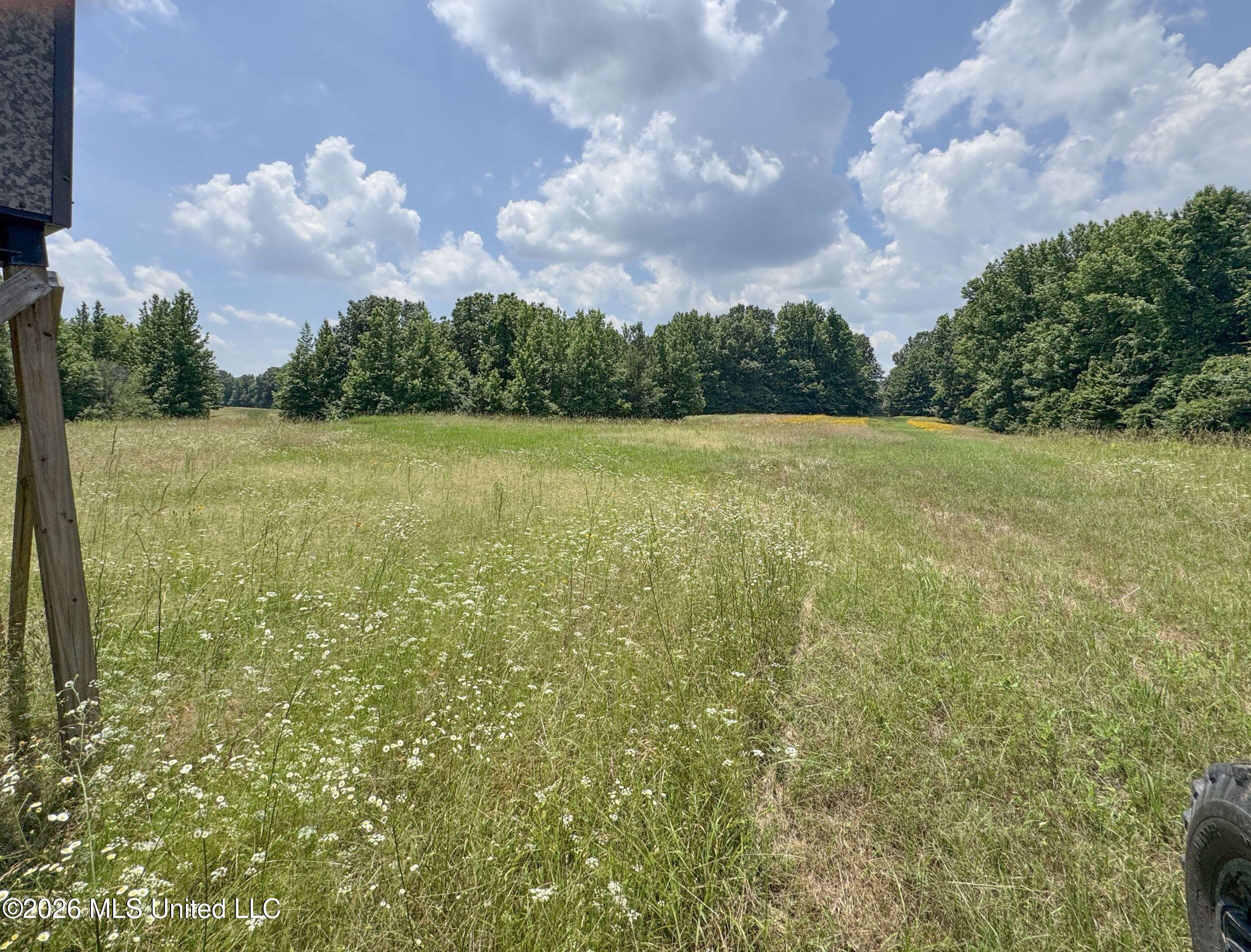 884 Avant Road Crenshaw, MS 38621 - Photo 103 of 154 6dbyicr41