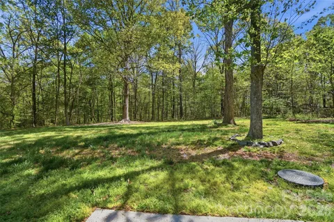 a view of a park with large trees