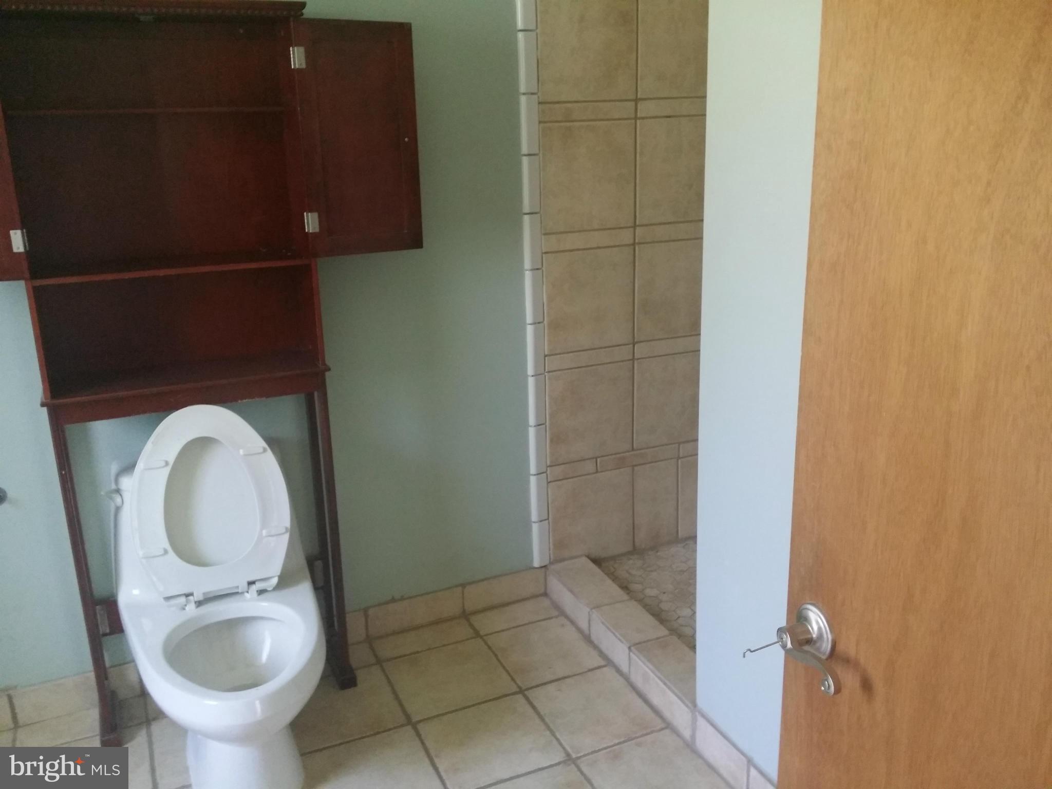 6724 Ford Road Frederick, MD 21702 - Photo 8 of 11 Bath (Master)