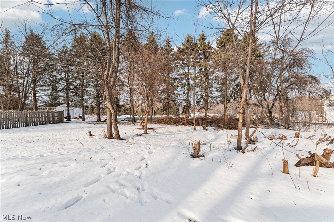 15615 Mason Road Vermilion, OH 44089 - Photo 27 of 34 Yard layered in snow with an outbuilding