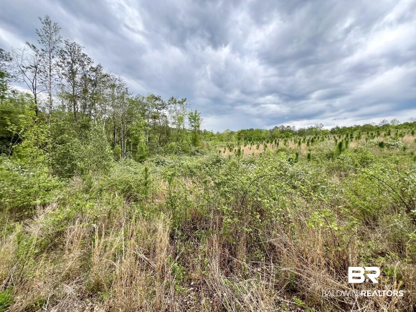 0 Pine Street St. Stephens, AL 36569 - Photo 20 of 26