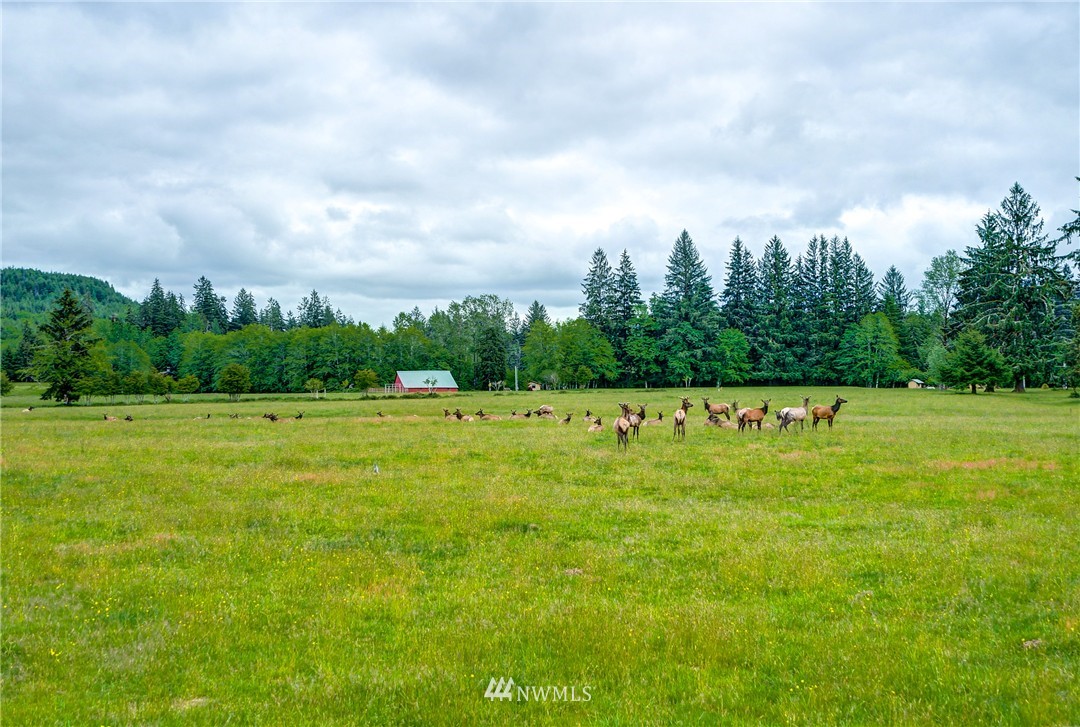 1904 Undi Road Forks, WA 98331 - Photo 7 of 19