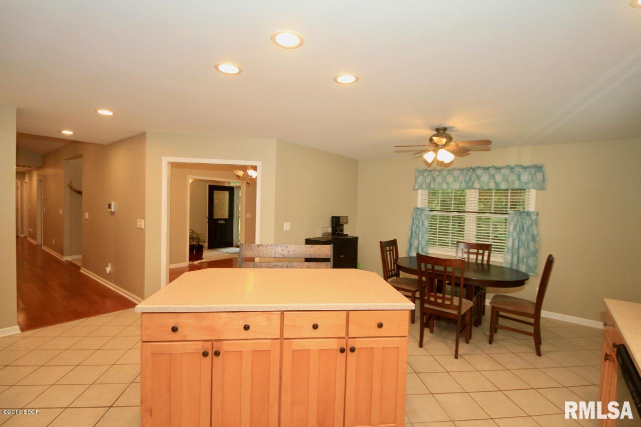 2050 North Reed Station Road Carbondale, IL 62901 - Photo 8 of 43