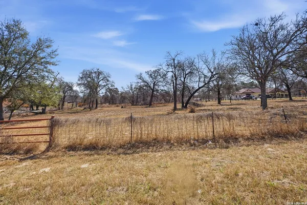 a view of a yard with trees