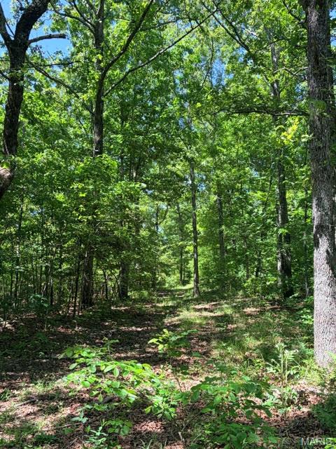 1 Ripley Route Gatewood, MO 63942 - Photo 11 of 19