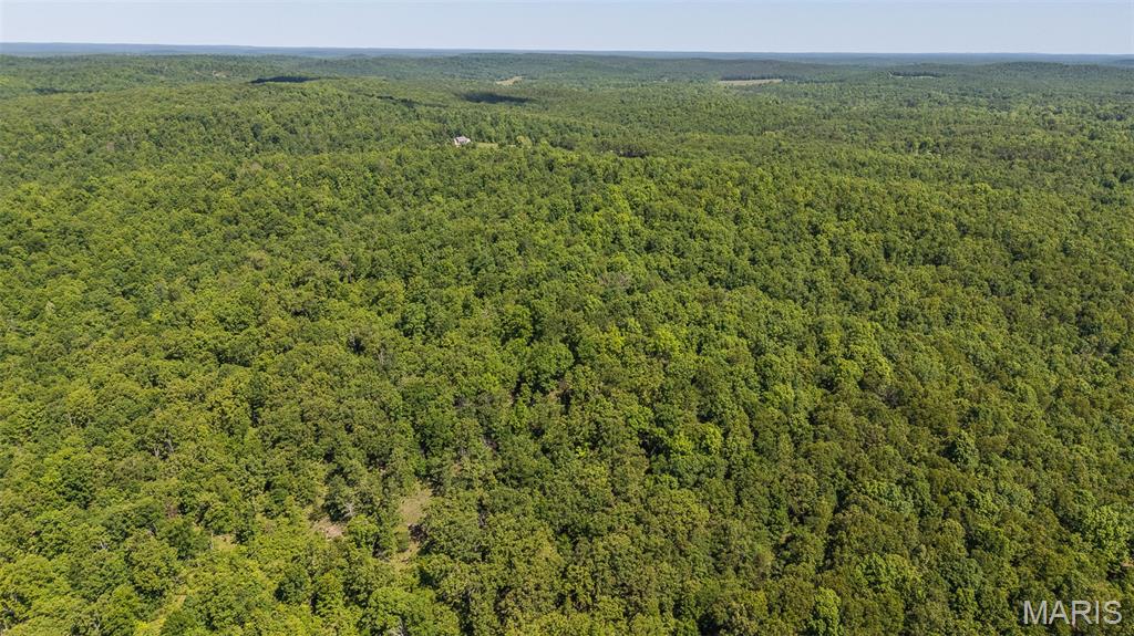 1 Ripley Route Gatewood, MO 63942 - Photo 2 of 19