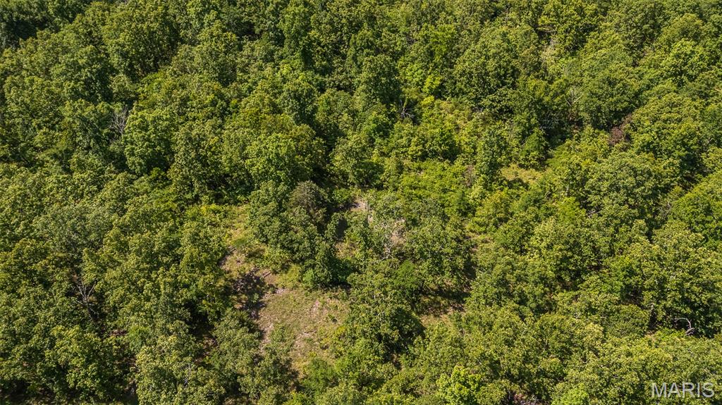 1 Ripley Route Gatewood, MO 63942 - Photo 4 of 19