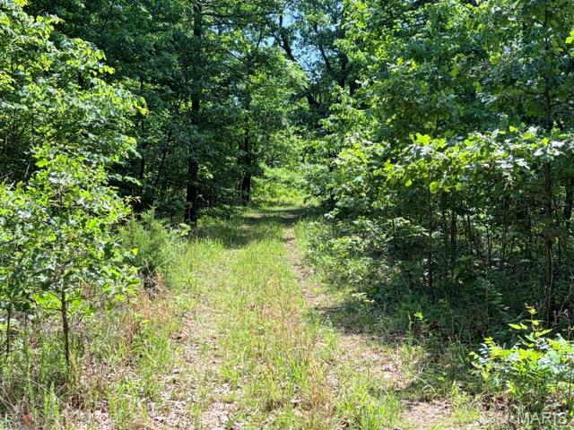 1 Ripley Route Gatewood, MO 63942 - Photo 8 of 19