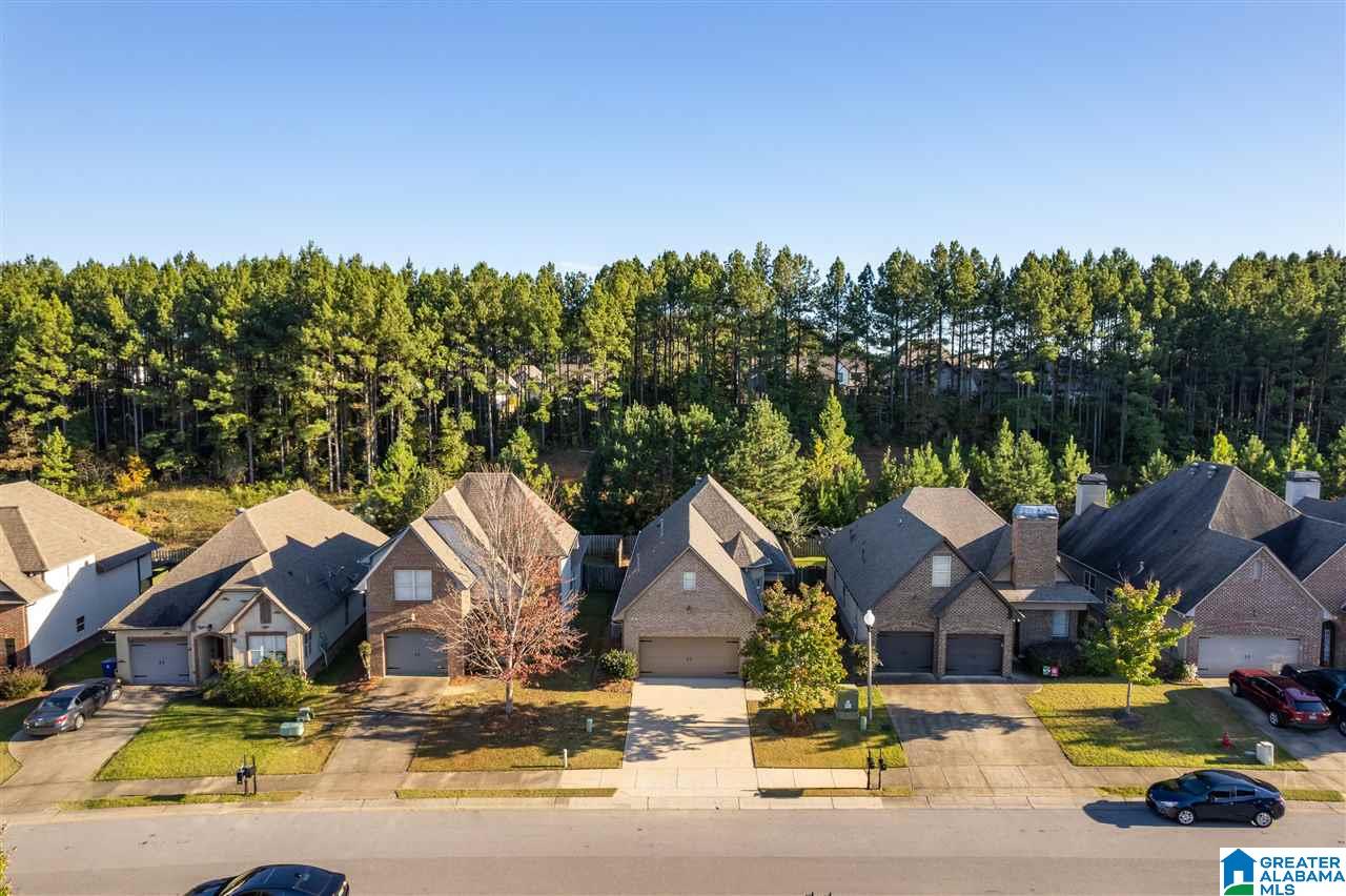 1064 Springfield Drive Chelsea, AL 35043 - Photo 27 of 31