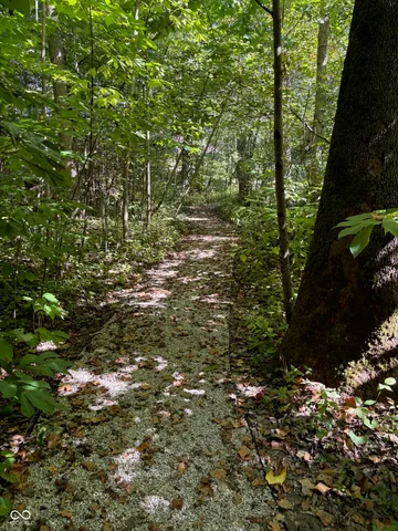 $995,000 | 13617 Creekridge Lane, Fishers, IN 46055