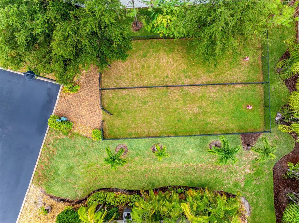 763 Date Palm Lane St. Petersburg, FL 33707 - Photo 33 of 34 a view of a garden in a backyard