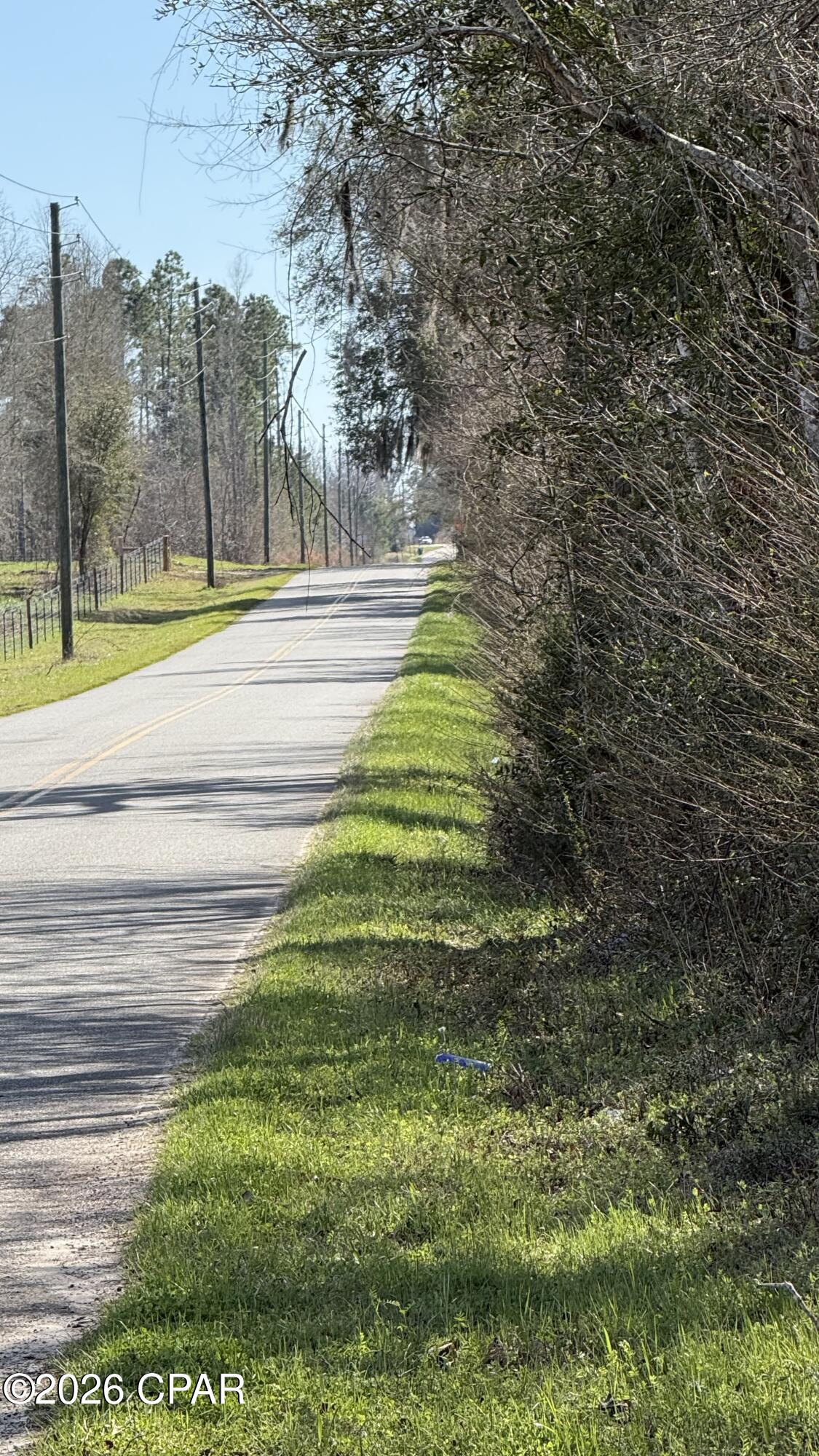 0 New Hope Road Marianna, FL 32448 - Photo 2 of 3