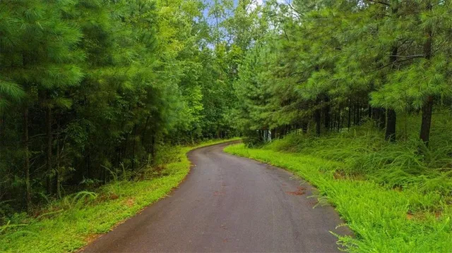 $740,000 | 3709 Maple Shade Drive Southwest, Gainesville, GA 30504