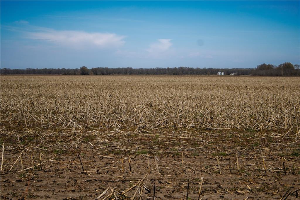 1 County Road Chillicothe, MO 64601 - Photo 4 of 9