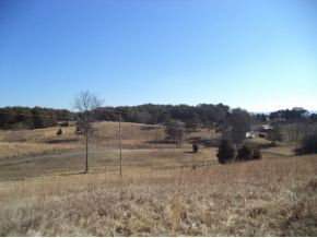 Tbd Phillipi Road Mohawk, TN 37810 - Photo 5 of 5 view from property