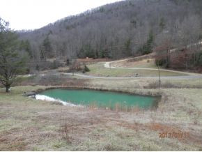 3669 Little Dry Run Road Butler, TN 37640 - Photo 3 of 14 Pond