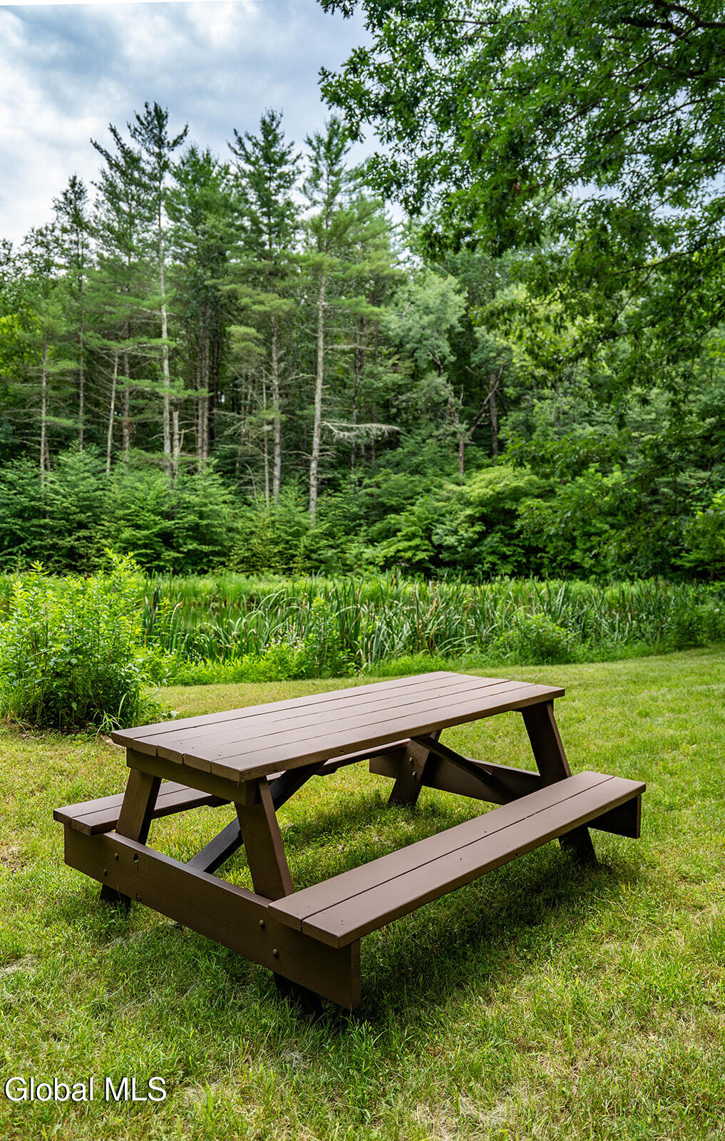 203 Center Road White Creek, NY 12057 - Photo 41 of 51 _DSC7760-HDR